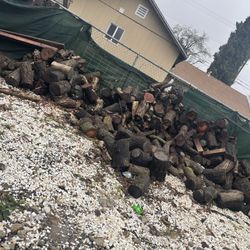 Almond Fire Wood For Sale 