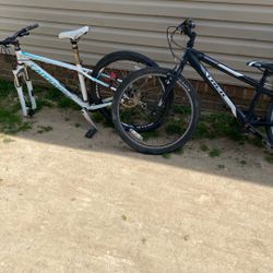 Cannondale  Trek Bike 