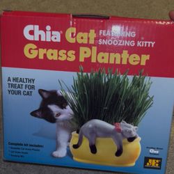 Chia cat grass planter