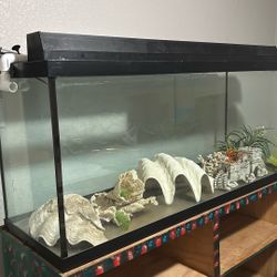 Fish Tank 