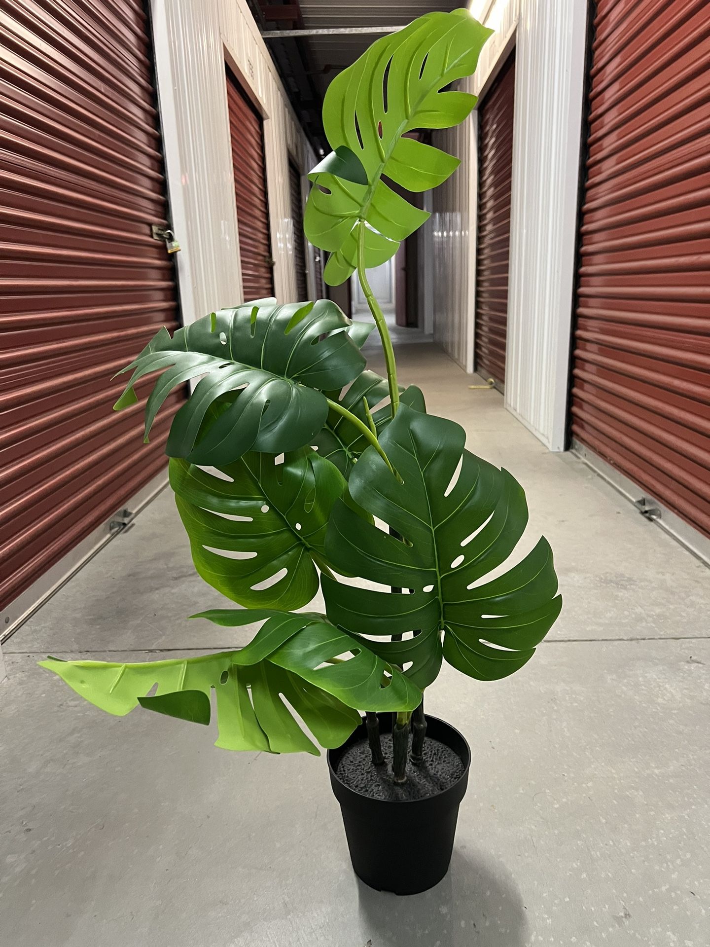 Fake Plant