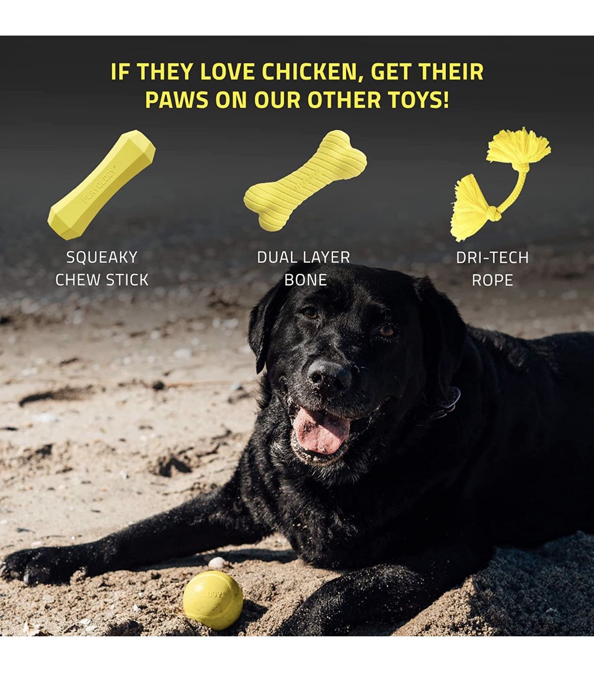 Squeaky Dog Toy - Engaging All-Natural Scented Dog Toys for Small, Medium & Large Dogs - Interactive & Tough Non-Toxic Chew Toys