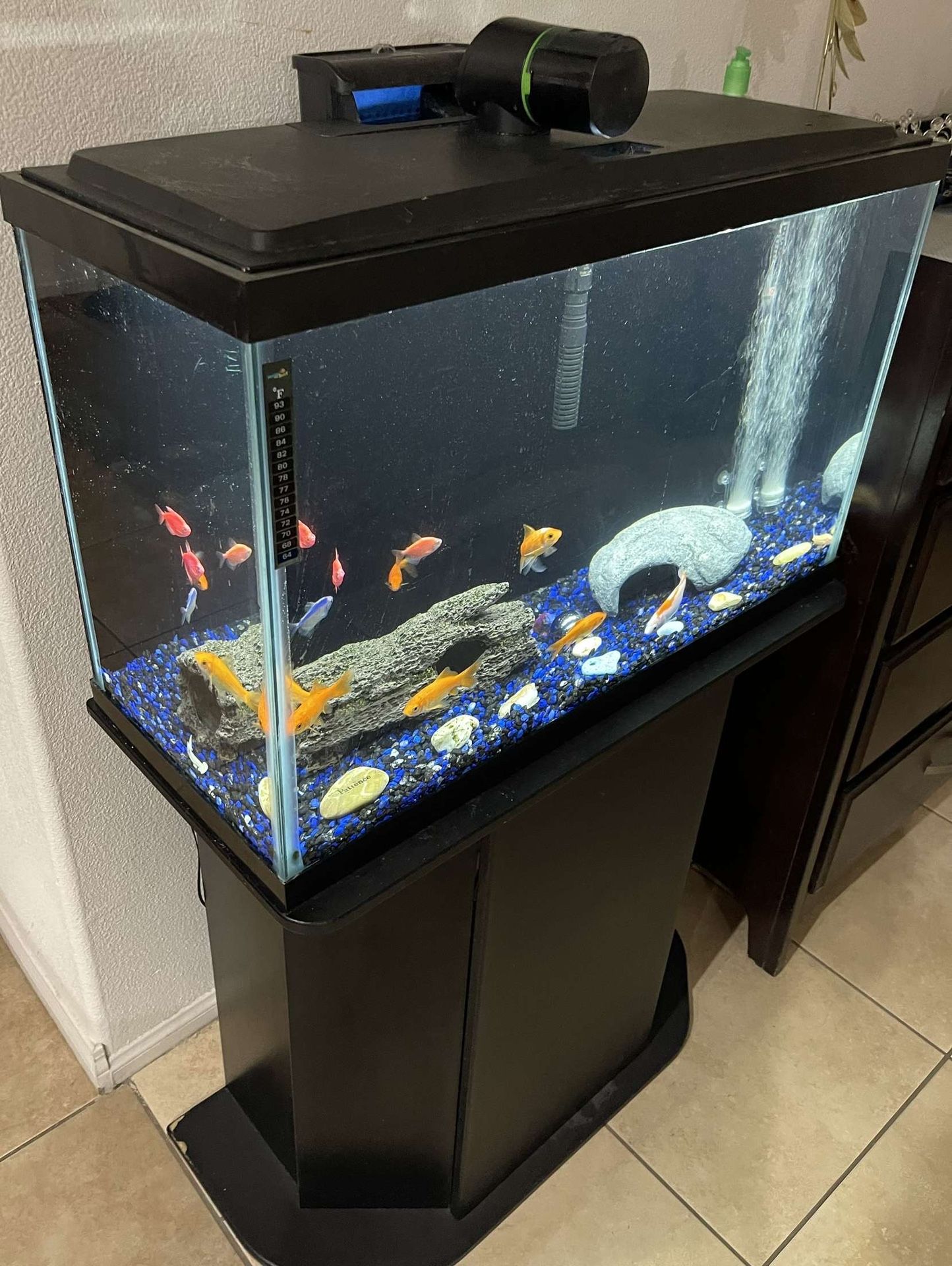 Fish Tank with Stand