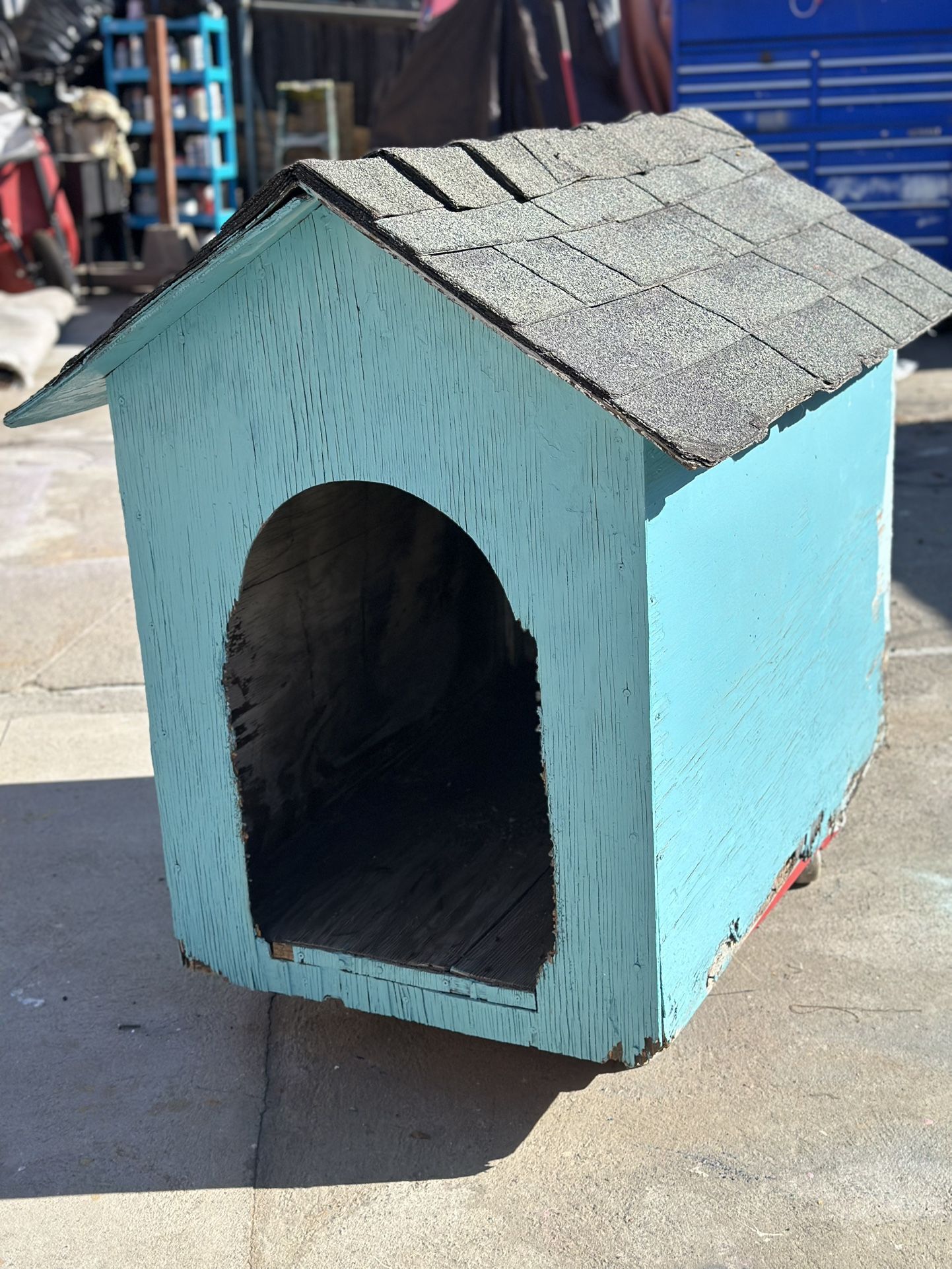 Free Dog 🐕 House