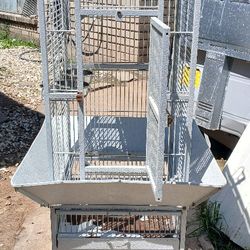 Bird Cage