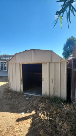 Shed