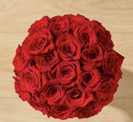 Rose Arrangements Available 