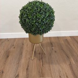 Artificial Plant + Stand 