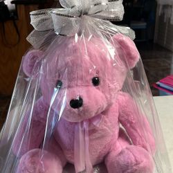 Valentine’s Bear 