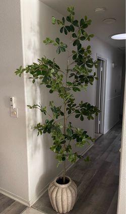 Faux Black Olive Tree 7ft/‼️pot sold separately‼️