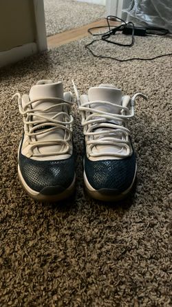Jordan 11 Snake Skins