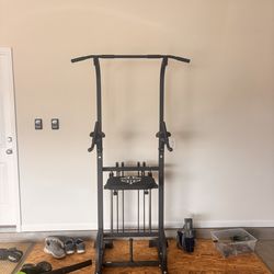 Pull up and dip station