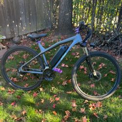 Act Best New Electric Bike