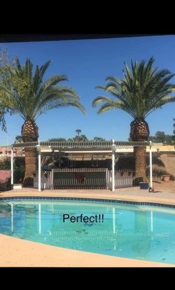 Az hardscape landscape