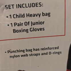 Kids Punching Bag And Glove Set 