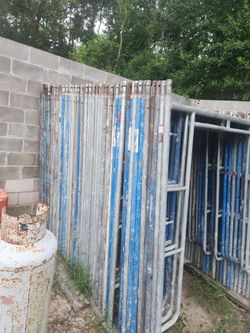 Scaffold
