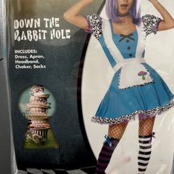 Down The Rabbit Hole Costume 