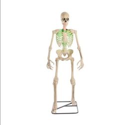 Home Accents 6.5' Grave & Bones Animated LED Ultra Skelly w/Life Like Eyes