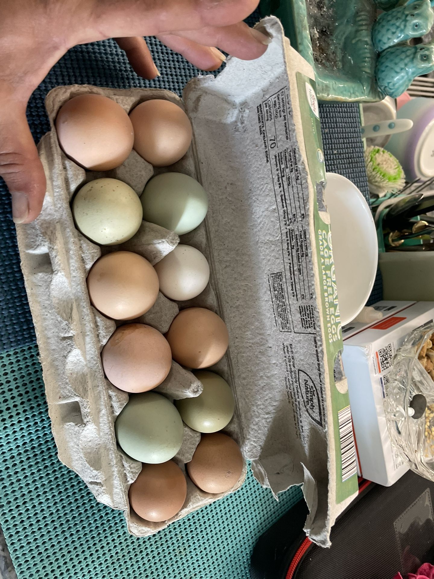 Organic eggs