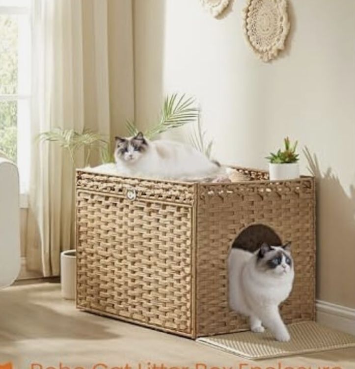 Cat Litter Box