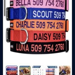 Dog Collars For Chihuahuas