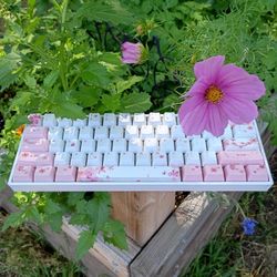 Skyloong Keyboard 