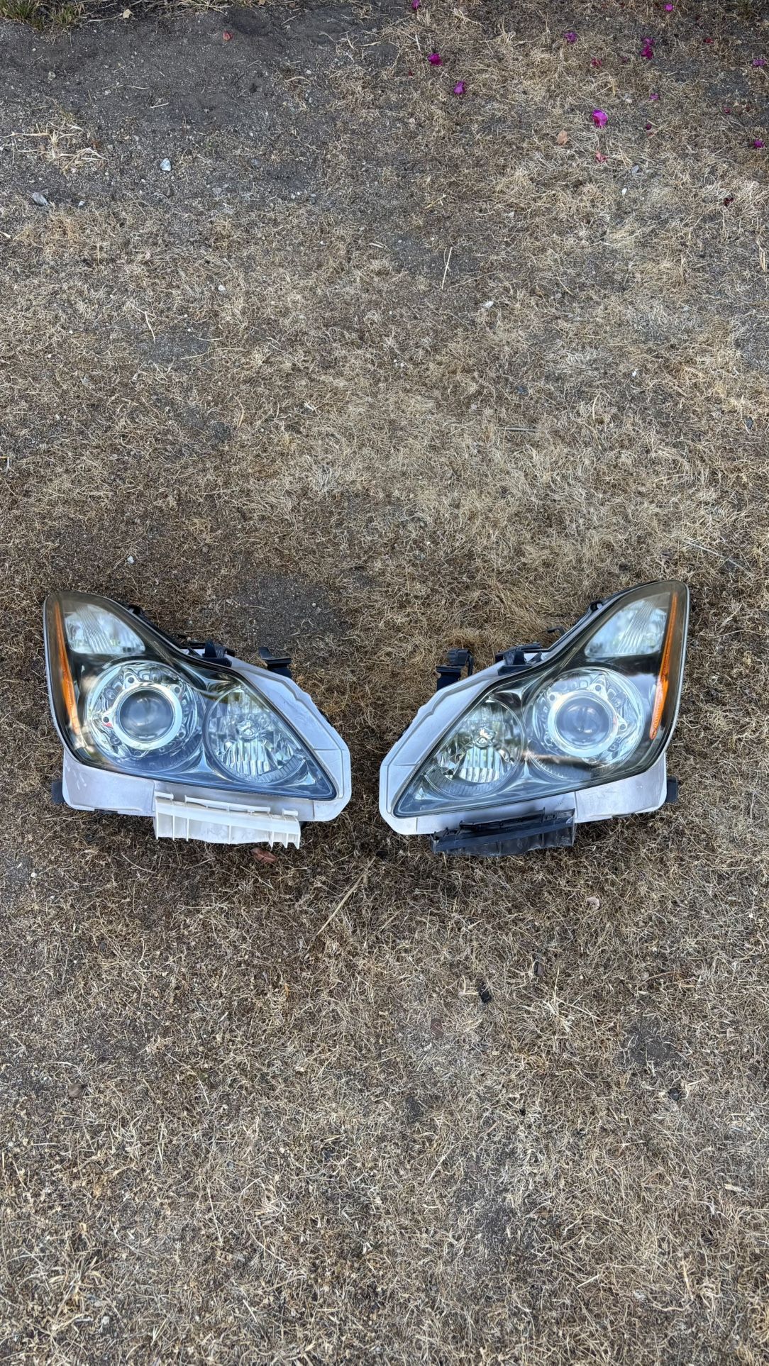 G37 Coupe Headlights