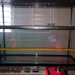 Tank/aquarium  4ft Long