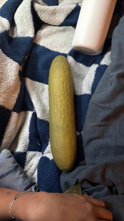 Squeeze Pickle Squishy