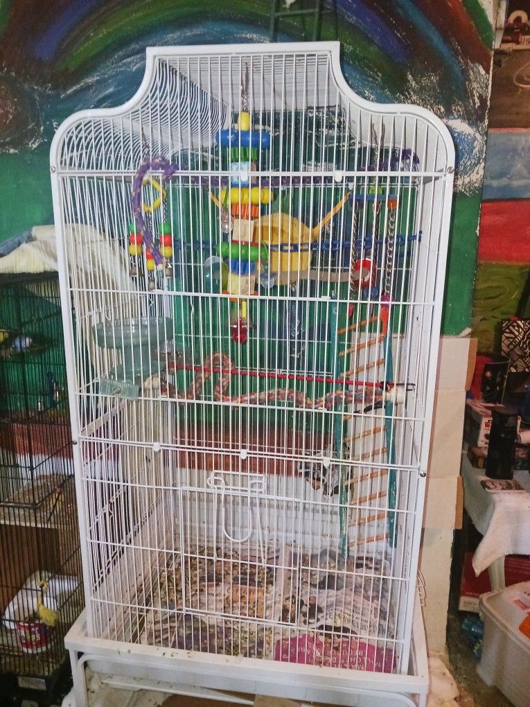 Bird Cage Big One. ,all Kind,birds