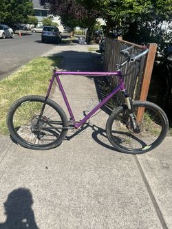 Custom Mtb Extra Large (handmade ) No Wheels 