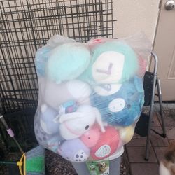 Squishmallow Collection! 