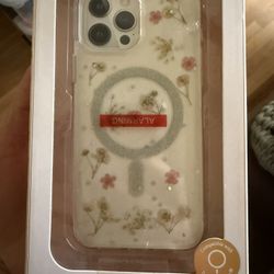 iPhone 12 13 Case
