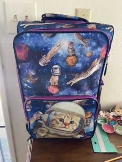 Cat Luggage/carry On/ Handle Bag.