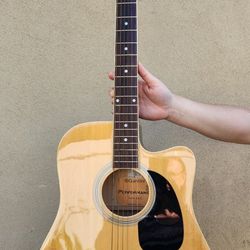 Giannini Acoustic Wood Guitar