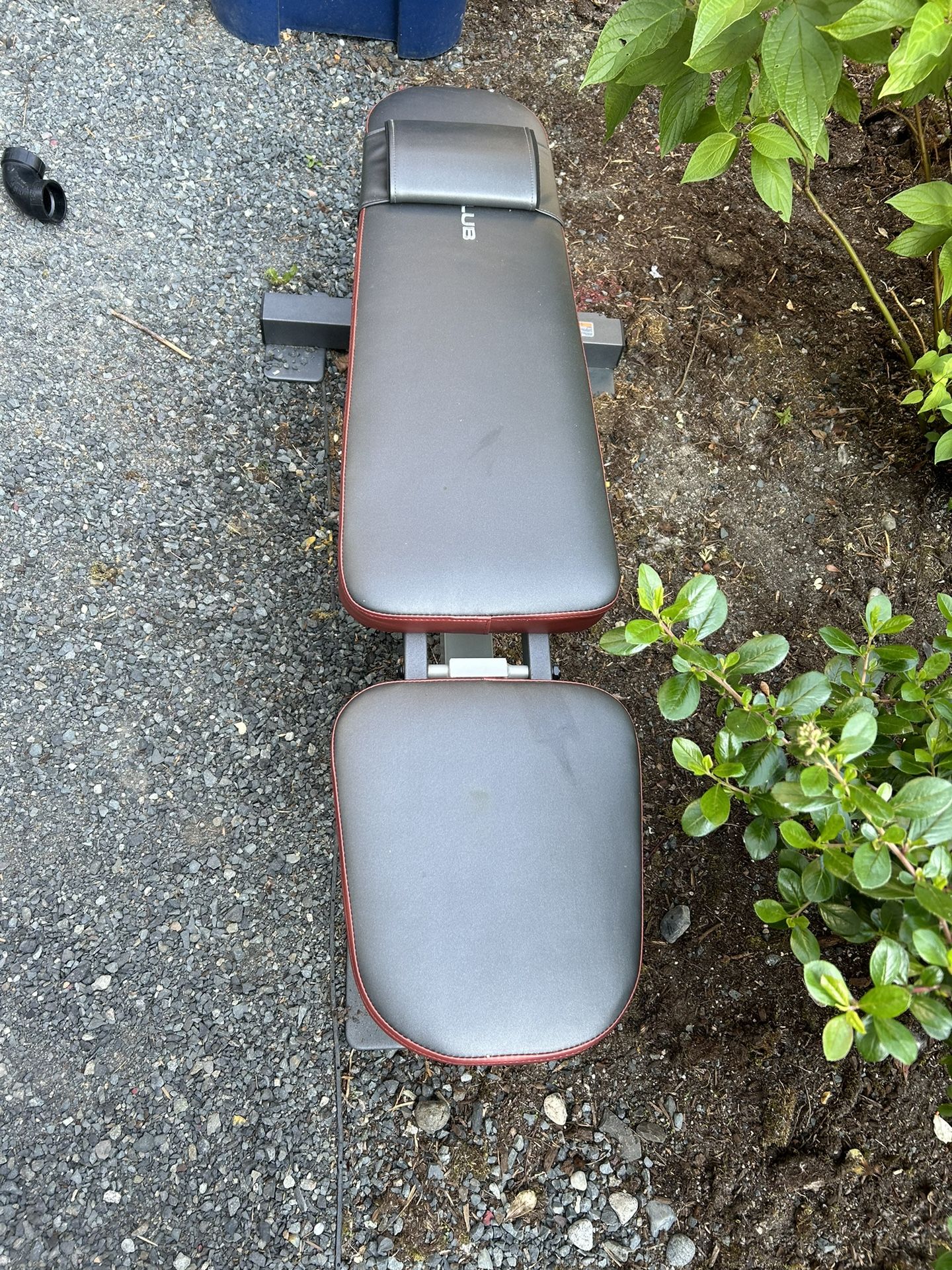 Body Builder Chair