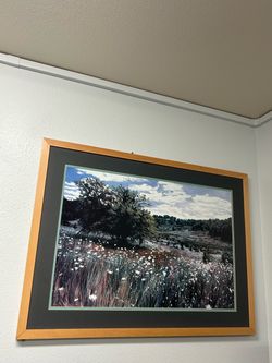 Framed Landscape Nature Print