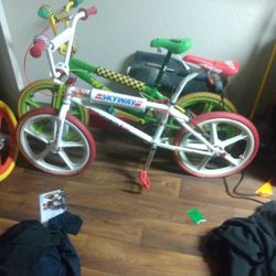 Newer Skyway.  It's All There. Asking 1500