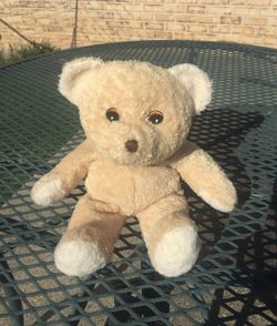 Teddy Bear Stuffed Animal - no plastic pieces - very clean plush