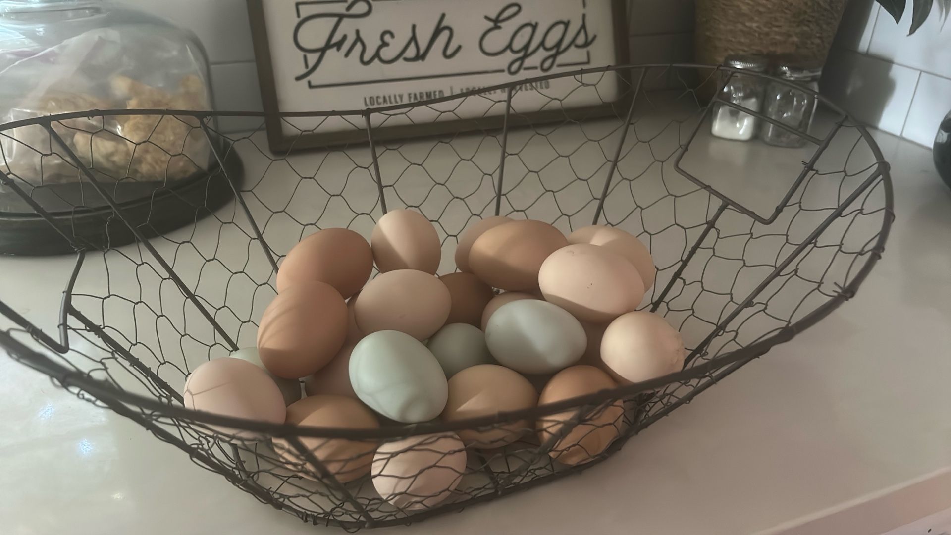Fresh Eggs From Young Free Range Hens!