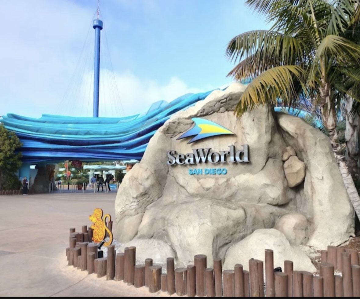 Seaworld Tickets 3 tickets Available $10 Each