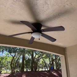 Ceiling Fan with Light