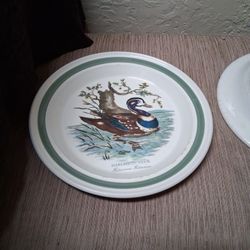 Rare Harlequin Duck Plate Vintage