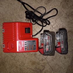 Milwaukee M12/M18 Combo Charger & Batteries 