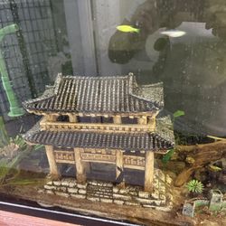Fish Tank With Stand