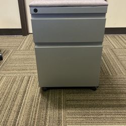 2 Drawer Filing Cabinet 