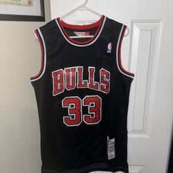 Scottie Pippen size large jersey