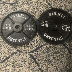 Weights and Bar (two 45 plates and 45 pound bar)