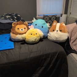 Squishmallows - Used 