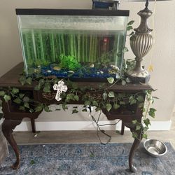 Fish Tank 20 Gal + Decor
